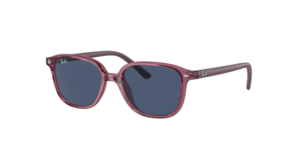 Ray-Ban 0RJ9093S 711280