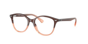 Ray-Ban 0RX5423I 8312