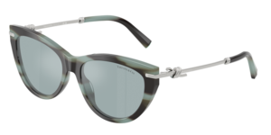 Tiffany & Co. 0TF4253 84437C