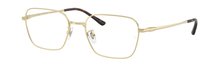 Ray-Ban 0RX8784D 1251