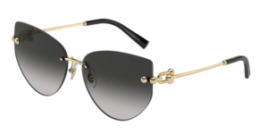 Tiffany & Co. 0TF3096 60213C