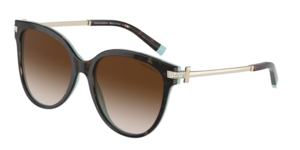 Tiffany & Co. 0TF4193B 81343B