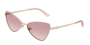 Jimmy Choo 0JC4015HB 300668