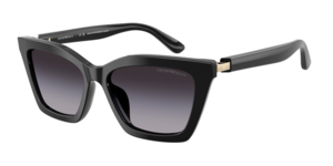 Emporio Armani 0EA4250U 50178G