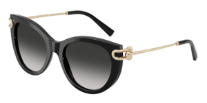 Tiffany & Co. 0TF4232F 80013C