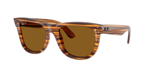 Ray-Ban 0RBR0502S 679183