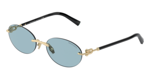 Tiffany & Co. 0TF3104D 602180