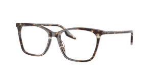 Ray-Ban 0RX5422 8425