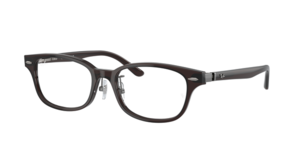 Ray-Ban 0RX5427D 8290