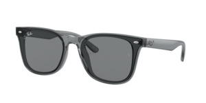 Ray-Ban 0RB4391D 645087