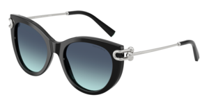 Tiffany & Co. 0TF4232 83429S