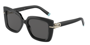 Tiffany & Co. 0TF4199 8001S4