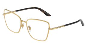 Dolce & Gabbana 0DG1359 02