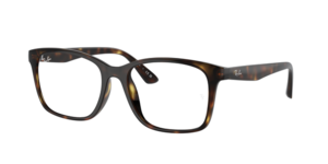Ray-Ban 0RX7059D 2012