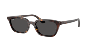 Ray-Ban 0RB4456 135987
