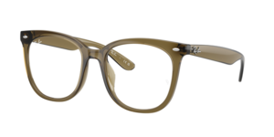 Ray-Ban 0RX4379VD 8445