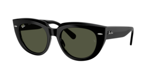 Ray-Ban 0RB2286 901/31