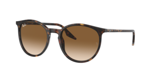 Ray-Ban 0RB2204 902/51