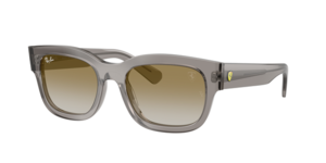 Ray-Ban 0RB2228M F7046E