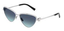 Tiffany & Co. 0TF3107KB 62139S