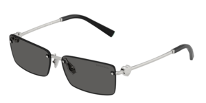 Tiffany & Co. 0TF3108B 6001S4