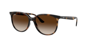 Ray-Ban 0RB4378 710/13