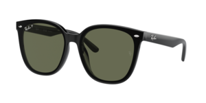Ray-Ban 0RB4423D 601/9A