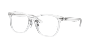 Ray-Ban 0RX5425D 2001