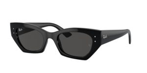 Ray-Ban 0RB4430 667787