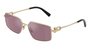 Tiffany & Co. 0TF3111 6194AK