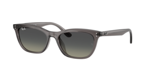 Ray-Ban 0RB4474D 667511