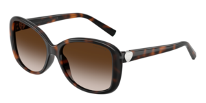 Tiffany & Co. 0TF4257U 80153B