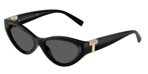 Tiffany & Co. 0TF4225U 8001S4