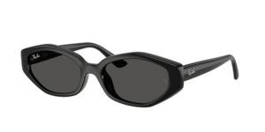 Ray-Ban 0RB4473D 667787