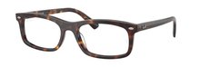 Ray-Ban 0RX5450 2012