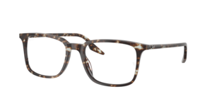 Ray-Ban 0RX5421 8425