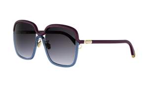Dior CD40277F 83B