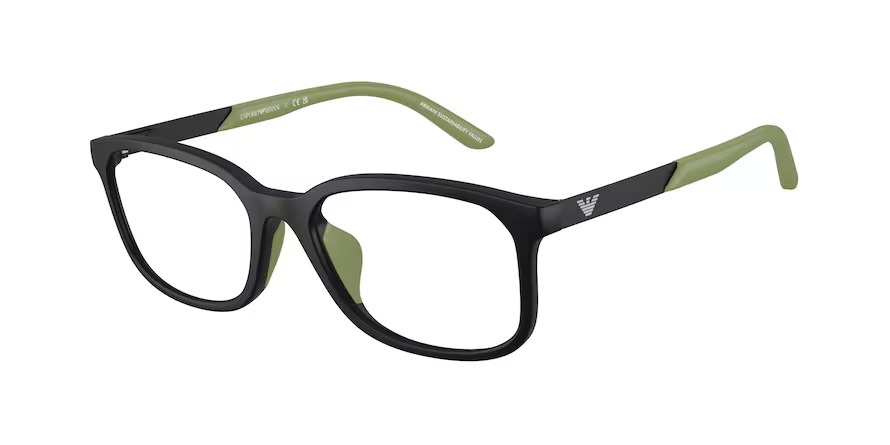 Emporio Armani 0EK3008U 5001