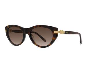 Fred FG40102I 53F