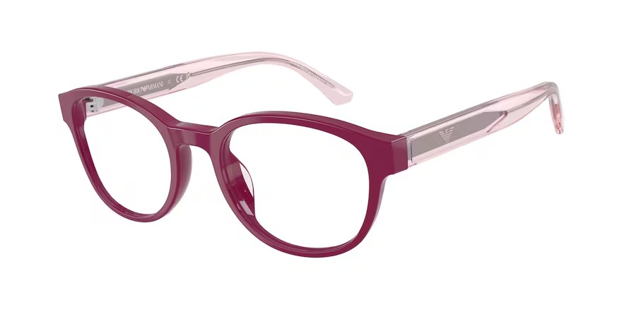 Emporio Armani 0EK3012U 6383