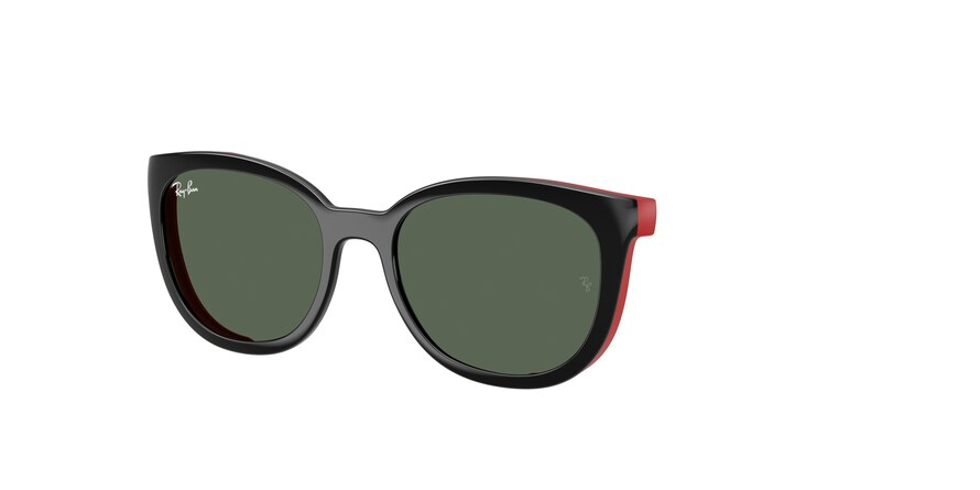 Ray-Ban 0RY1631C 392871