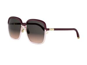 Dior CD40277F 66F
