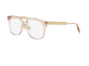 Dior CD50152F 042