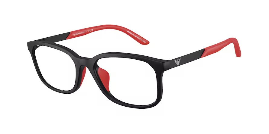Emporio Armani 0EK3008U 5009