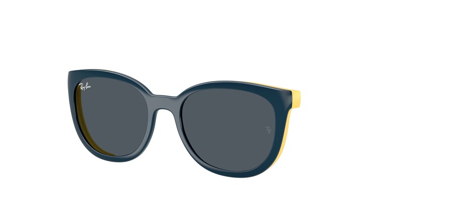 Ray-Ban 0RY1631C 393787