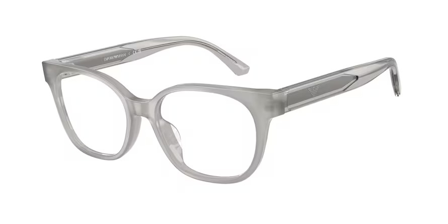 Emporio Armani 0EK3014U 6386