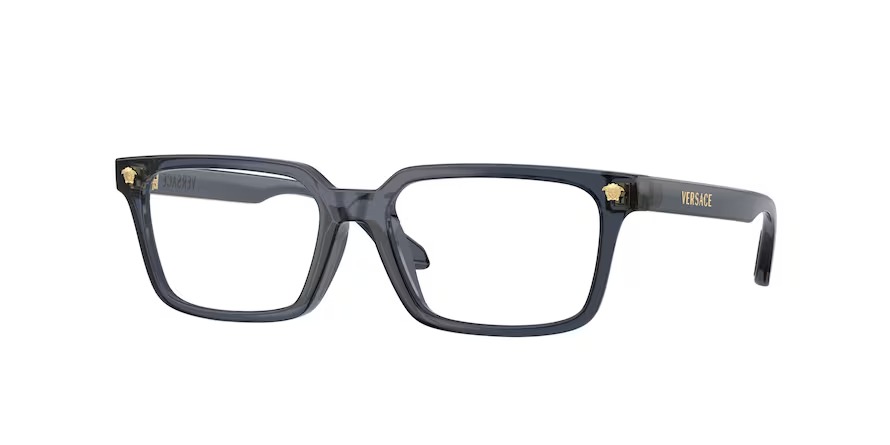 Versace 0VK3015U 5548