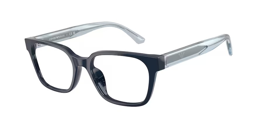 Emporio Armani 0EK3013U 6382