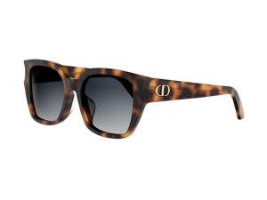 Dior CD40197F 53B