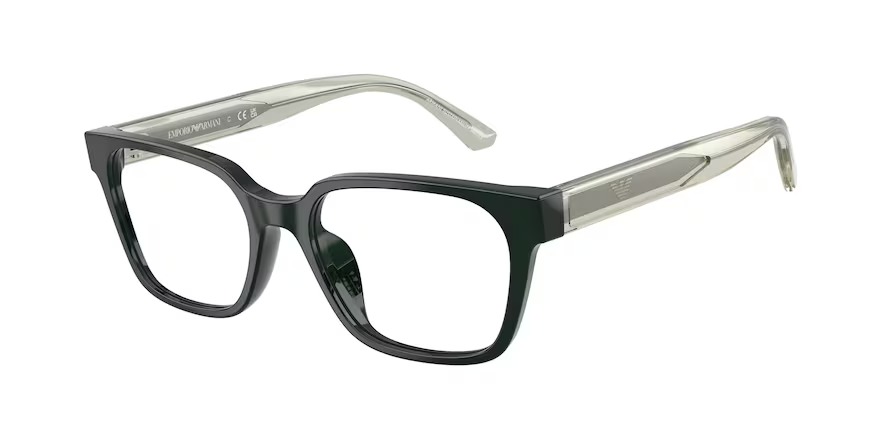 Emporio Armani 0EK3013U 6381